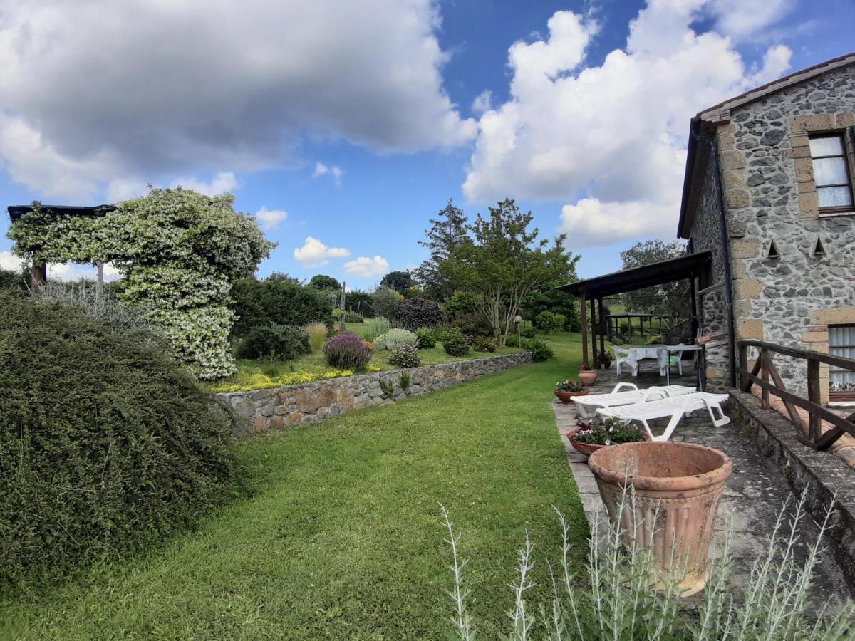 Agriturismo Cantinaccia Di Sopra Pitigliano Exterior foto